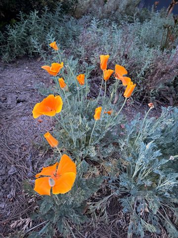 1674 W Bullard Avenue, Fresno, CA 93711