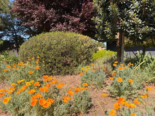 1674 W Bullard Avenue, Fresno, CA 93711