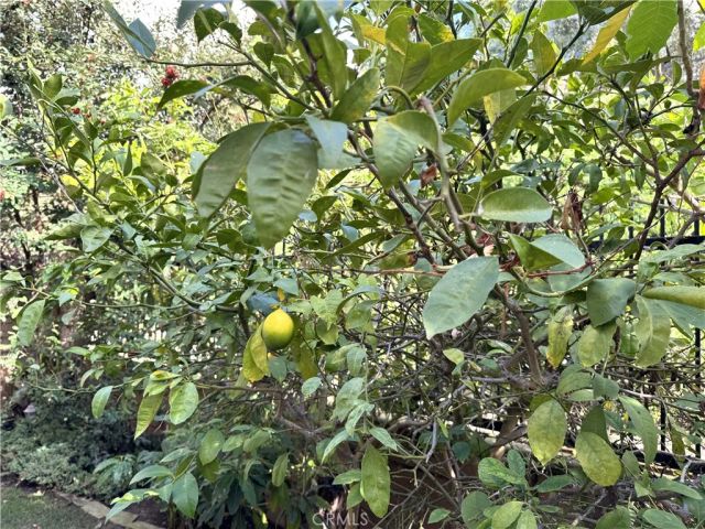 2 Honeydew, Irvine, CA 92603