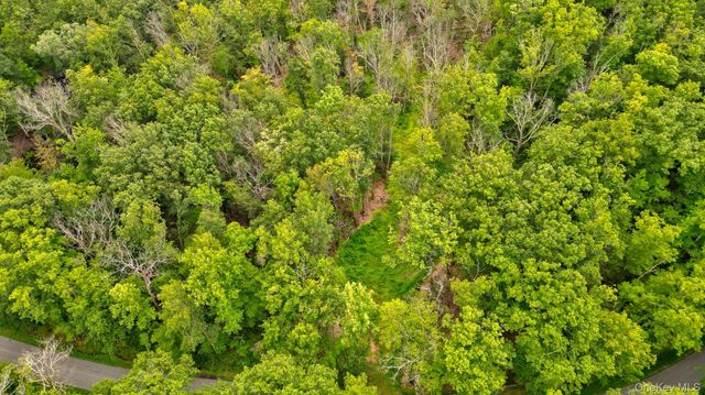 Lot 1 Pantelop Road, Bloomingburg, NY 12790