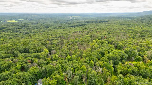 Lot 1 Pantelop Road, Bloomingburg, NY 12790