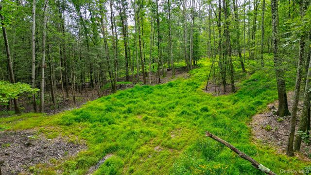 Lot 1 Pantelop Road, Bloomingburg, NY 12790