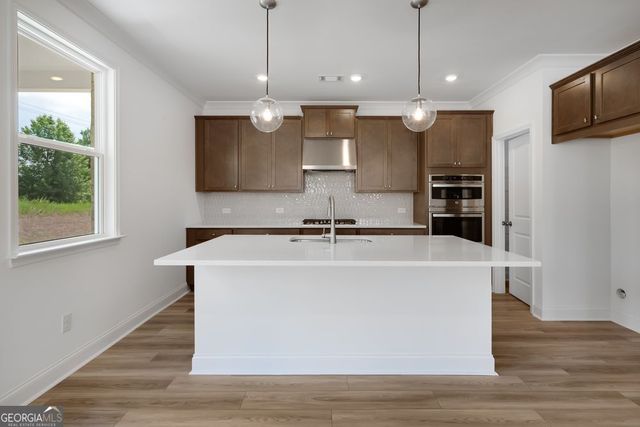 8835 Chesford Grove, Ball Ground, GA 30107