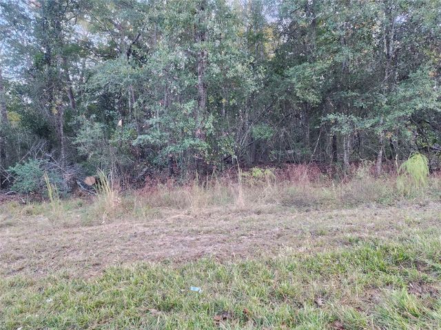 0 Dottie Ln Lane, Shepherd, TX 77371