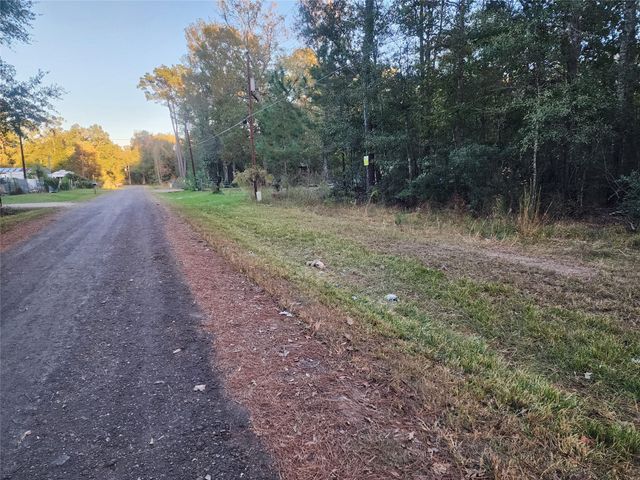 0 Dottie Ln Lane, Shepherd, TX 77371
