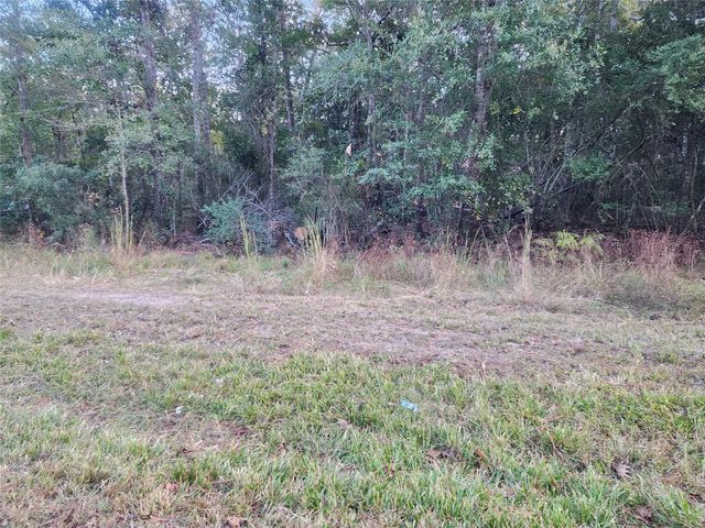 0 Dottie Ln Lane, Shepherd, TX 77371