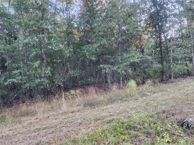 0 Dottie Ln Lane, Shepherd, TX 77371