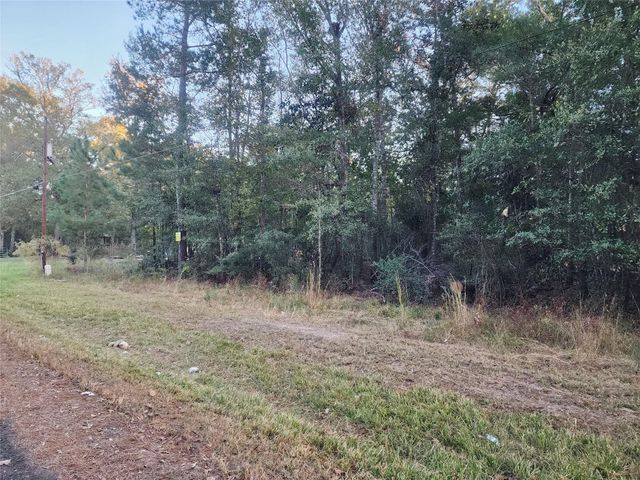 0 Dottie Ln Lane, Shepherd, TX 77371