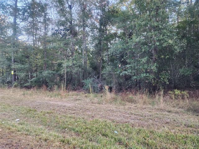 0 Dottie Ln Lane, Shepherd, TX 77371