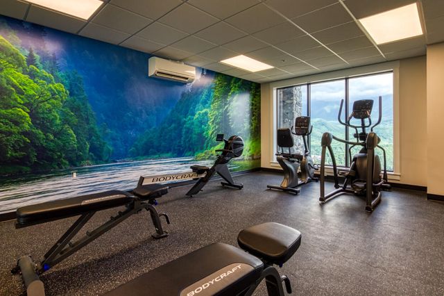 855 Campbell Lead Road, Gatlinburg, TN 37738