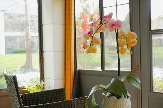 13152 VILLAGE CHASE CIRCLE 1, Tampa, FL 33618