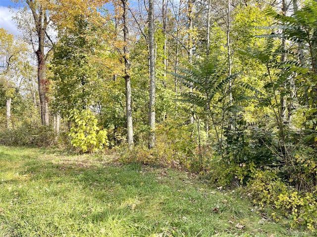 534 Violet Avenue, Hyde Park, NY 12538