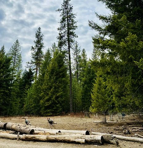 40502 N Running Deer Ln, Deer Park, WA 99006