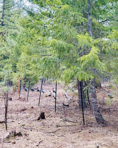 40502 N Running Deer Ln, Deer Park, WA 99006