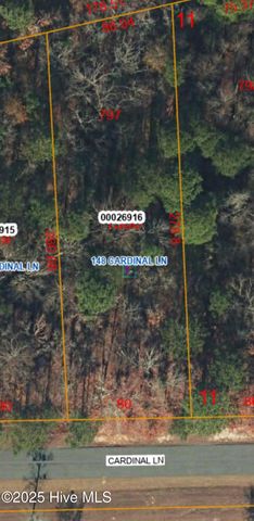 148 Cardinal Lane, West End, NC 27376