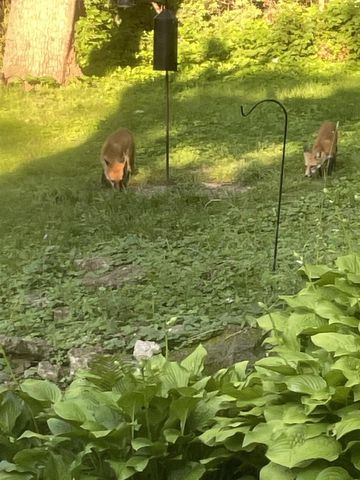 202 Shepard Terrace, Madison, WI 53705