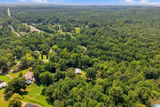 TBA HIGHWAY 338, Chelsea, AL 35043