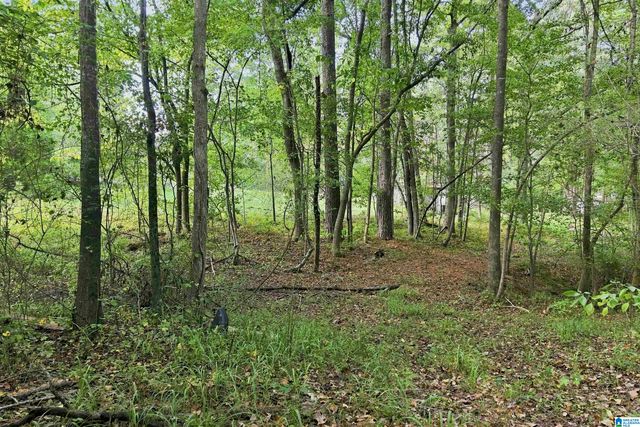 TBA HIGHWAY 338, Chelsea, AL 35043