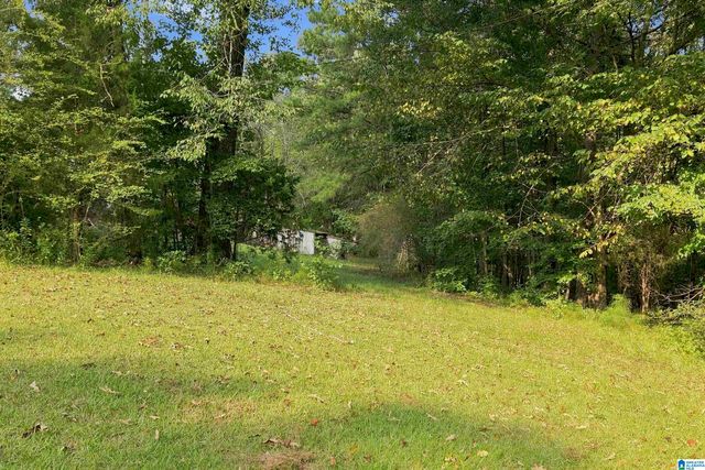 TBA HIGHWAY 338, Chelsea, AL 35043