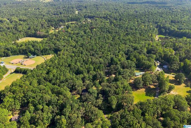 TBA HIGHWAY 338, Chelsea, AL 35043