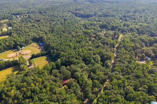 TBA HIGHWAY 338, Chelsea, AL 35043