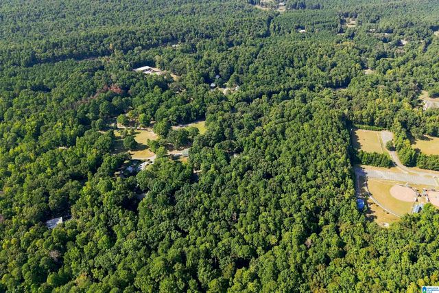 TBA HIGHWAY 338, Chelsea, AL 35043