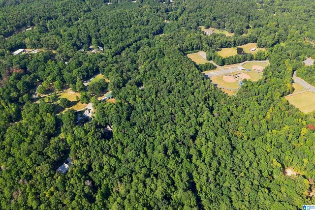 TBA HIGHWAY 338, Chelsea, AL 35043