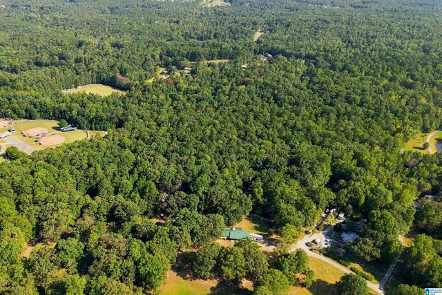 TBA HIGHWAY 338, Chelsea, AL 35043