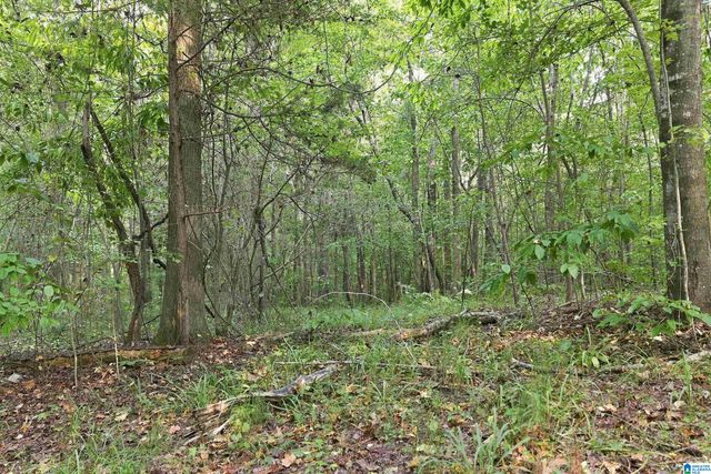 TBA HIGHWAY 338, Chelsea, AL 35043