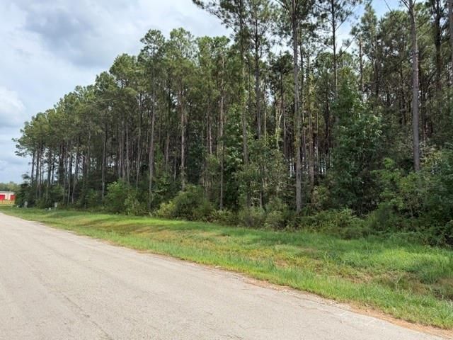 1546 Road 66114, Dayton, TX 77535