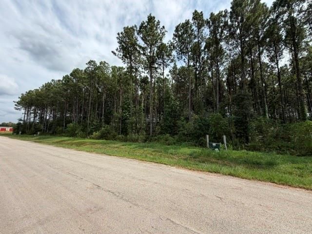 1546 Road 66114, Dayton, TX 77535