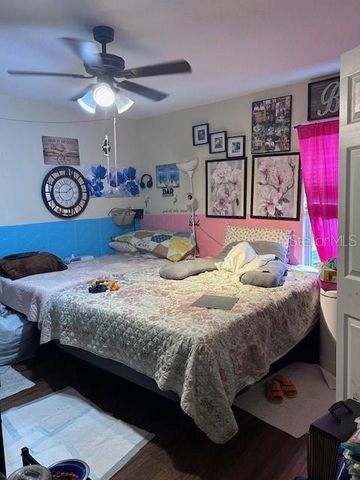 311 MORNINGVIEW DRIVE, Eustis, FL 32726