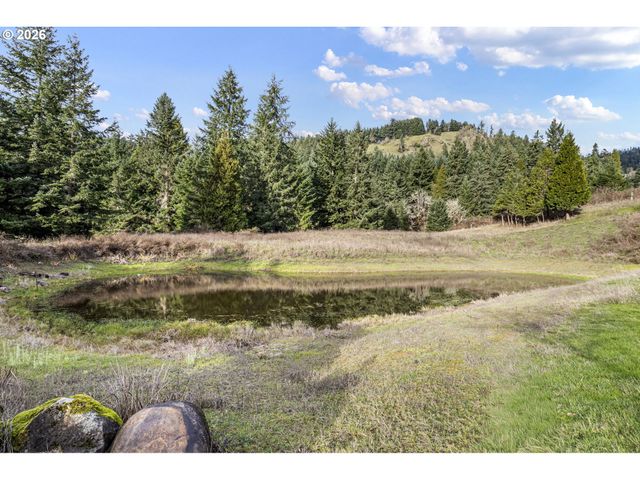 302 SCOTT Rd, Oakland, OR 97462