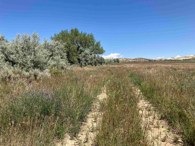 TBD Road 5N, Powell, WY 82435 property photo