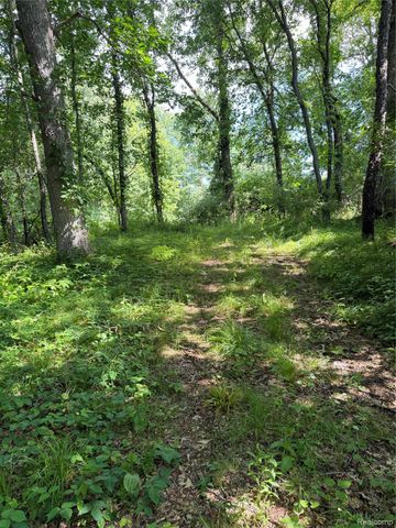 00 Ripple Way, White Lake Charter Township, MI 48383