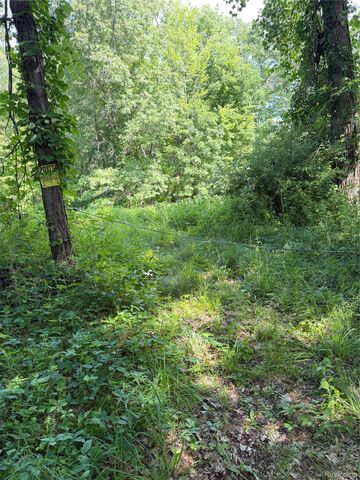 00 Ripple Way, White Lake Charter Township, MI 48383