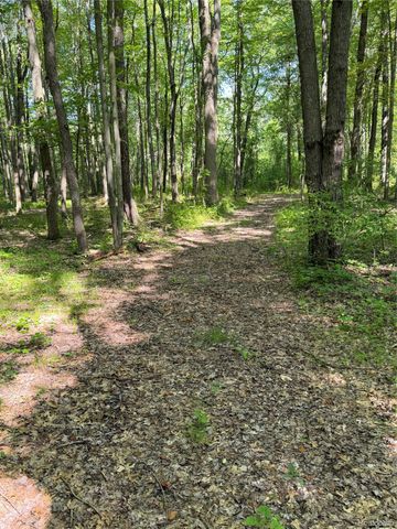 00 Ripple Way, White Lake Charter Township, MI 48383