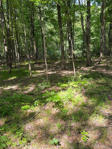 00 Ripple Way, White Lake Charter Township, MI 48383