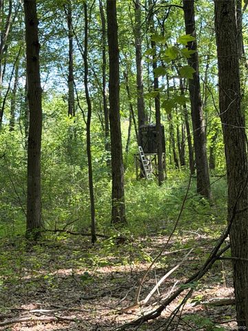 00 Ripple Way, White Lake Charter Township, MI 48383
