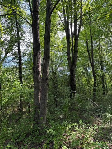 00 Ripple Way, White Lake Charter Township, MI 48383