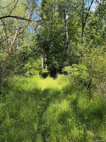 00 Ripple Way, White Lake Charter Township, MI 48383