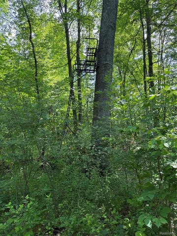 00 Ripple Way, White Lake Charter Township, MI 48383