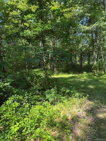 00 Ripple Way, White Lake Charter Township, MI 48383