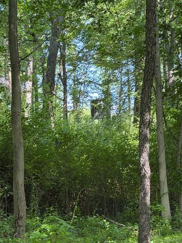 00 Ripple Way, White Lake Charter Township, MI 48383