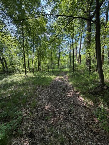 00 Ripple Way, White Lake Charter Township, MI 48383