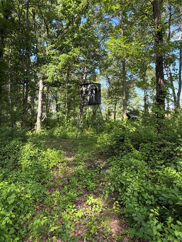 00 Ripple Way, White Lake Charter Township, MI 48383
