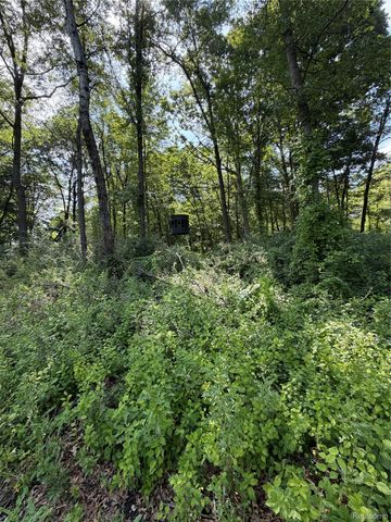00 Ripple Way, White Lake Charter Township, MI 48383