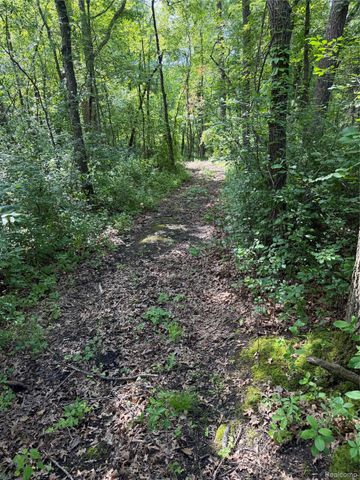 00 Ripple Way, White Lake Charter Township, MI 48383
