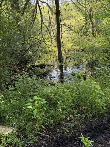 00 Ripple Way, White Lake Charter Township, MI 48383