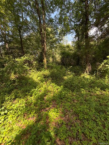 00 Ripple Way, White Lake Charter Township, MI 48383